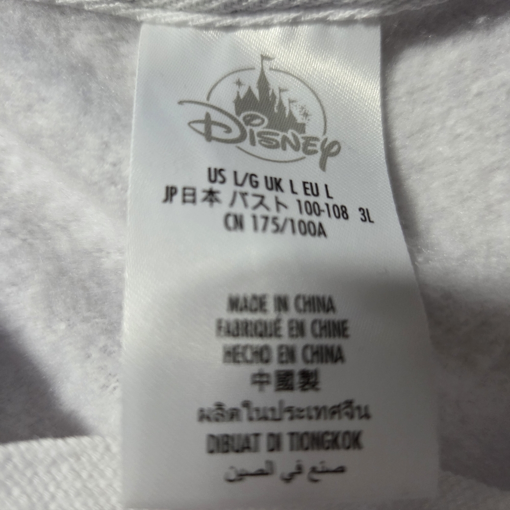 2022 DisneyLand Resort Mickey Mouse and Friends Hoodie Size L Embroidered - Picture 7 of 11